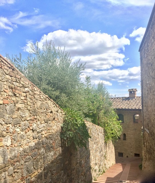 Italy - San Gimignano - 