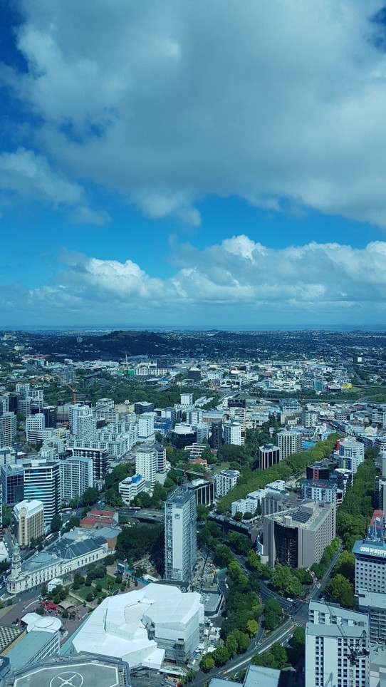 New Zealand - Auckland - Mount Eden im Hintergrund.