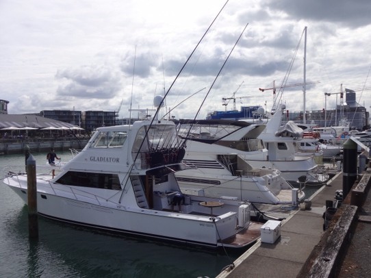 Neuseeland - Auckland - Stach hat sein Boot auch schon in einen richtigen Hafen umgelegt