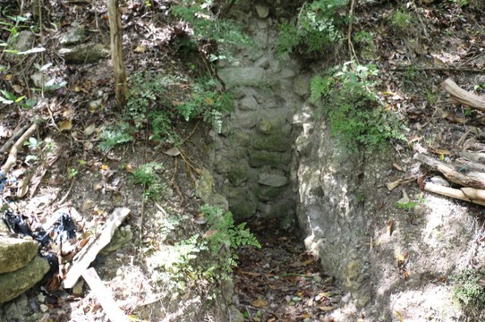 Guatemala - El Zotz - Hier im Grab (hinter der Mauer gehen einige Gänge in die Tiefe) wurden neben einem damaligen Mayakönig, reichlich Juwelen und Masken übrigens auch 8 Kinderleichen im Alter von 1 Jahr gefunden - warum, konnte bis heute noch nicht herausgefunden werden. 