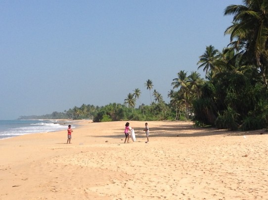 Sri Lanka - Kosgoda - Beachcleaning