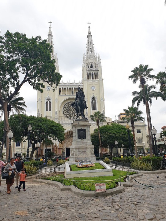Ecuador - Guayaquil - Guyaquil Metropolitan Cathedral and Parque Seminario (Iguana Park)