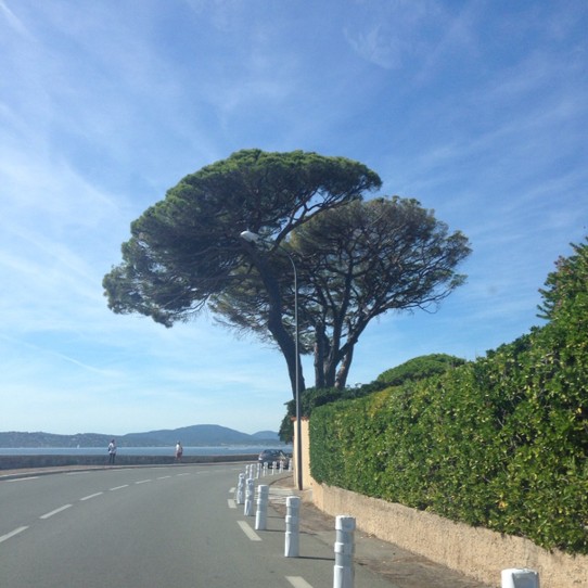 Frankreich - Cannes - Das ist sie, die Cote d'Azur!