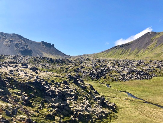 Island - Snæfellsbær - So sehen die Lavafelder dann aus der Nähe aus...