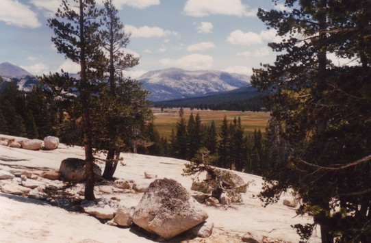 USA - Yosemite-Nationalpark - ...ein glatte und helle Gesteinsformation, die vor Jahrmillionenen entstand.
