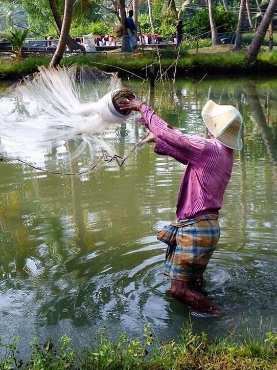 Indien - Kochi - Fischer bei der Arbeit