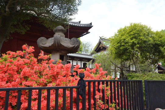 Japan - unbekannt - Such beautiful flowers at the Kiyomizu Kannon Temple