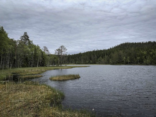 Schweden - Nationalpark Skuleskogen - 
