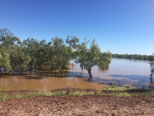Australien - Litchfield Park - Es ist fast alles überschwemmt.