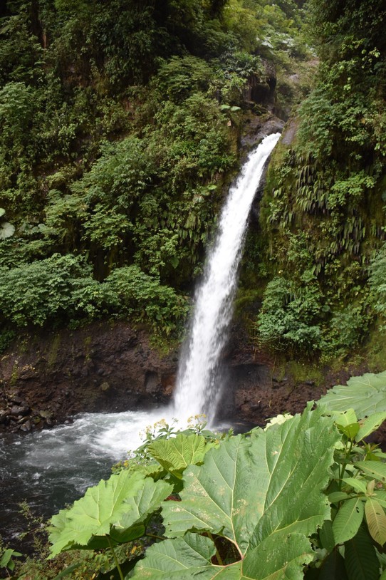 Costa Rica - San José - Also sind wir in den „La Paz Waterfall Garden“ haben uns nur den unteren Wasserfall angeschaut da die Zeit etwas knapp wurde.