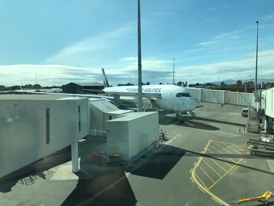 Neuseeland - Christchurch - Unser Flieger, ein Airbus A350