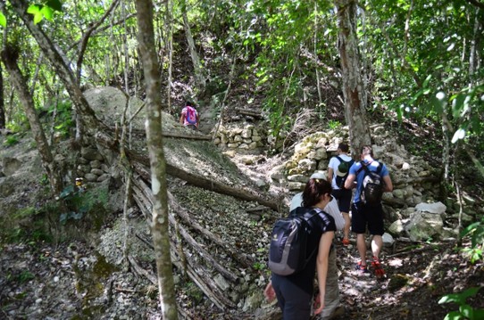 Guatemala - El Zotz - Mitten im Dschungel kurz vor einem Grabfund eines Mayakönigs am El Zotz 
