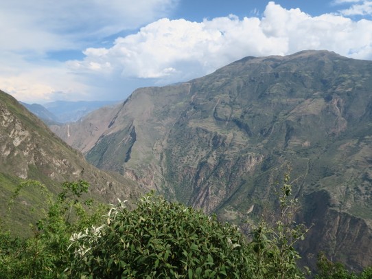 Peru - Choquequirao - J4 : Chemin du retour, jusqu'à Cachora