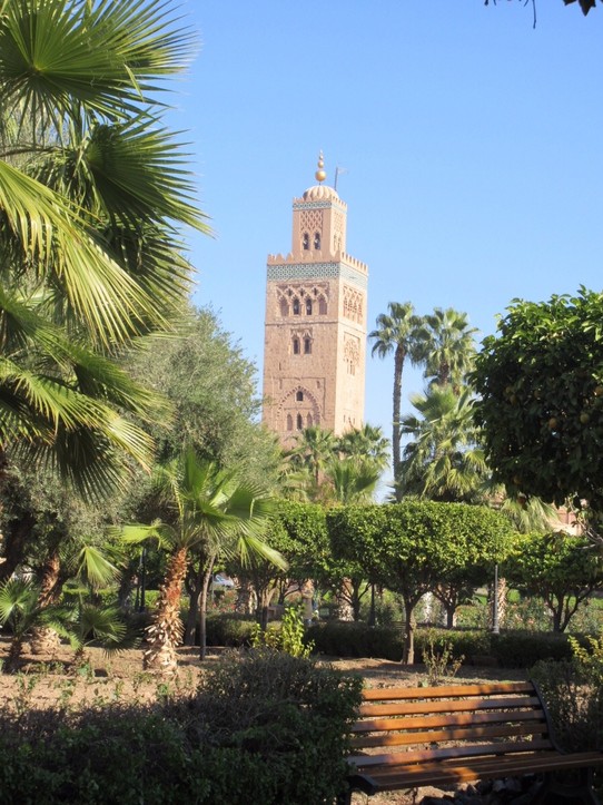 Morocco - Marrakech - The tallest landmark in Marrakech. The famous Koutobia mosque and it's beautiful gardens