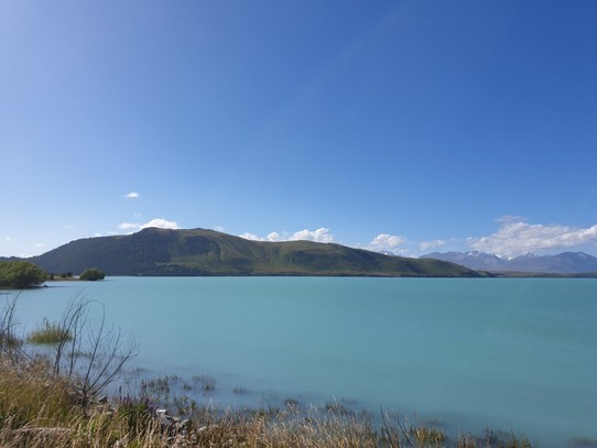 Neuseeland - Lake Tekapo - 