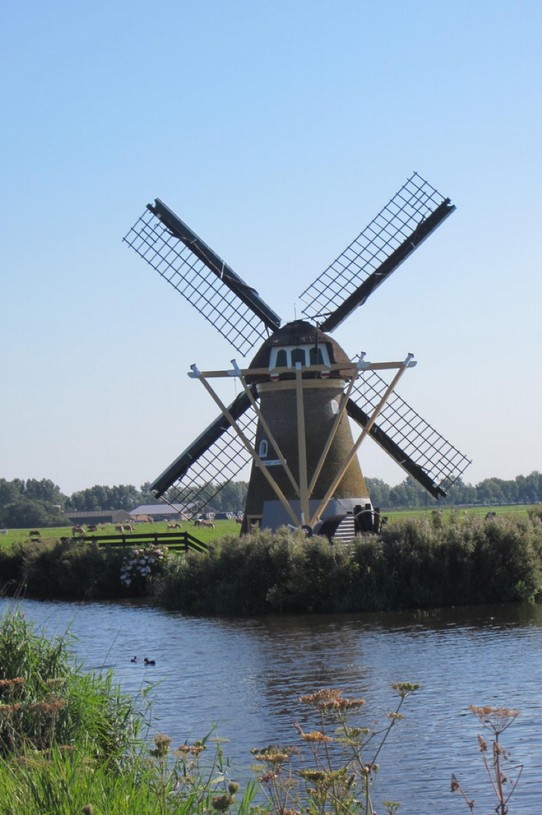 Niederlande - Bergen op Zoom - windmill