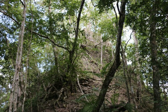 Guatemala - El Zotz - Unter diesem Erdhügel befindet sich eine noch nicht ausgegrabene Mayaruine - nur die Spitze sieht man an der Oberfläche. Der Staat kann (will) sich weitere Ausgrabungen nicht leisten. 