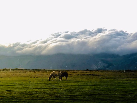 Island - Snæfellsbær - 😍👍 Bin gespannt, ob die Wolken über den Bergen da hinten über Nacht weggehen...