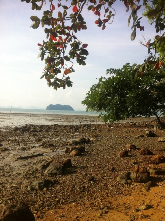 Thailand - Amphoe Ko Yao - Strand bei Ebbe, leider nicht so einladend
