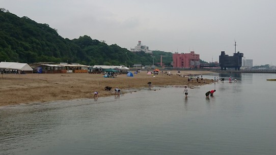 Japan - Ōsaka - Am Strand Muscheln suchen! Japaner zahlen dafür sogar Geld!