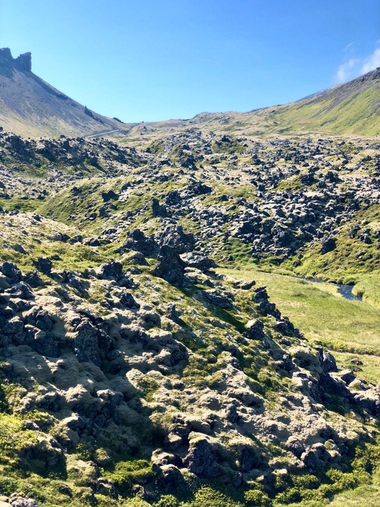 Island - Snæfellsbær - Schön, wie die Lava immer mehr bewachsen wird...