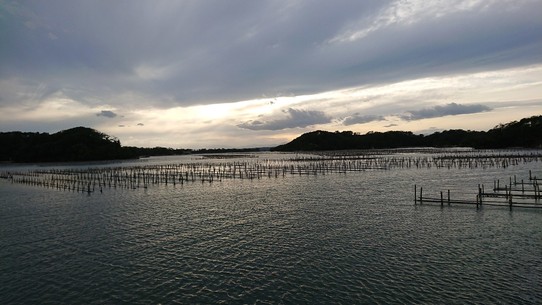 Japan - Aizu-Wakamatsu - Die Stöcke im Wasser sind Muschel- und Algenzuchten. 