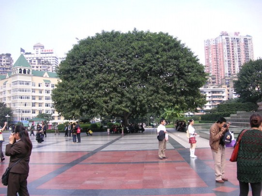 China - Chongqing - im Zentrum von Chongqing 2005