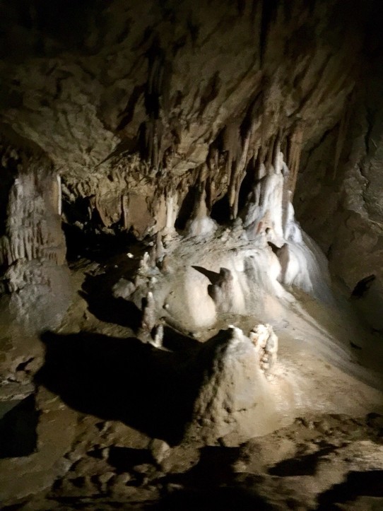 Slowenien - Divača - Höhlenleben