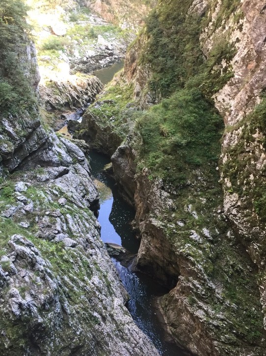 Slowenien - Divača - Der Fluss in der Schlucht fliest hier in die Höhle