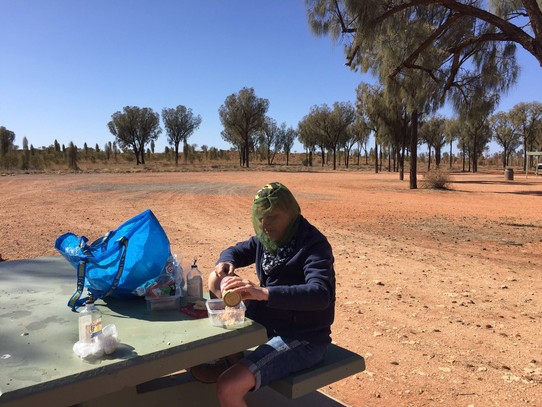 Australien - Yulara - Picknick mit Fliegen 