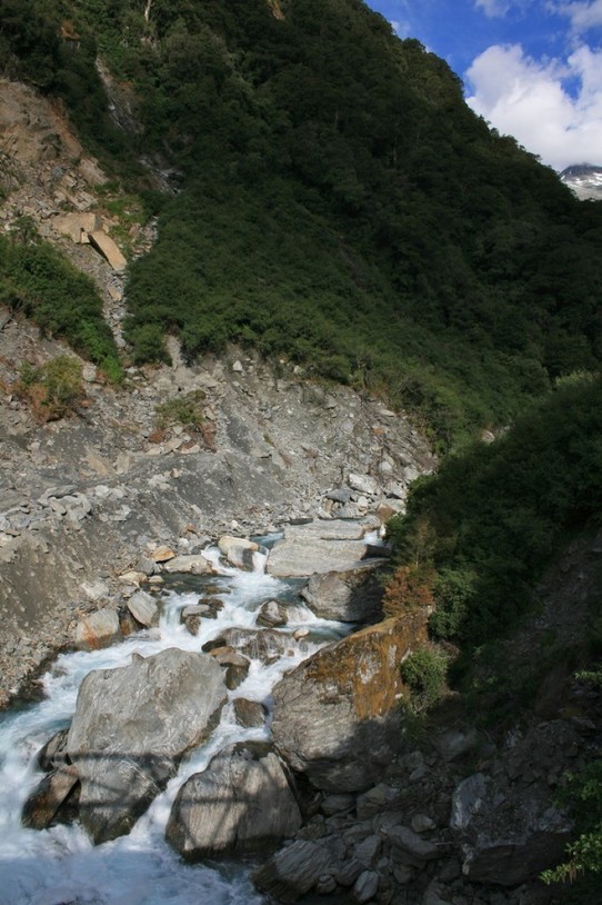 Neuseeland - Franz Josef Glacier - Haast Pass