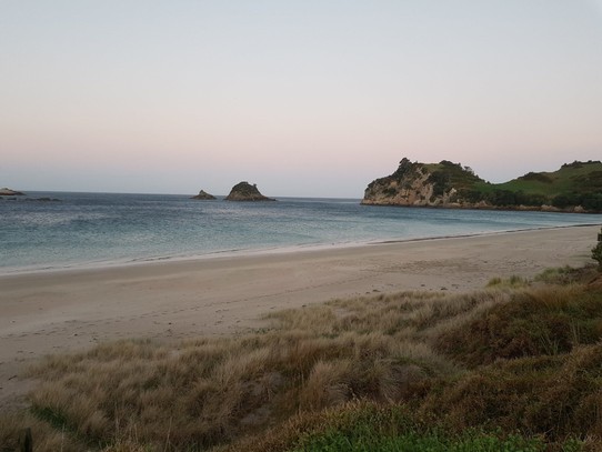 Neuseeland - Hahei - Beachwalk in the evening...