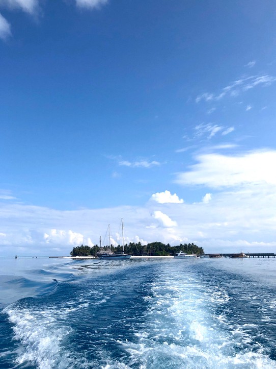Maldives - Rangali - 