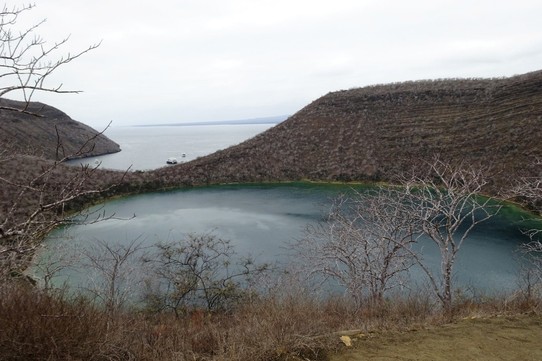 Ecuador - Isabela Island - Darwin Lake