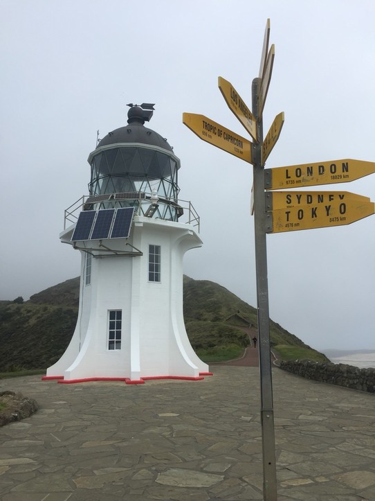 Neuseeland - Cape Reinga - 