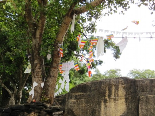 Sri Lanka - Polonnaruwa - 