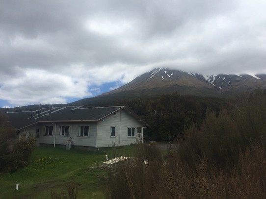  - Neuseeland, Mount Taranaki, Kapuni Loop Track - 