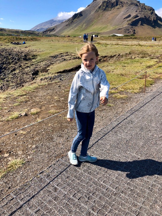Island - Arnarstapi - Wir bleiben aber lieber auf den befestigten Wegen und wandern nun nicht die Küste entlang. Der Schwalbenkinder und unserer Gesundheit zuliebe...🤪
