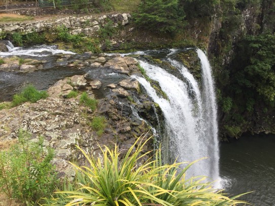  - Neuseeland, Whangarei, Whangarei Falls - 