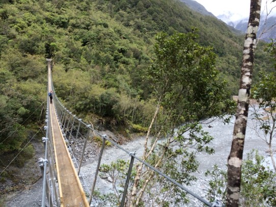 Neuseeland - Franz Josef Glacier - Hängebrücken gibt es hier reichlich!
