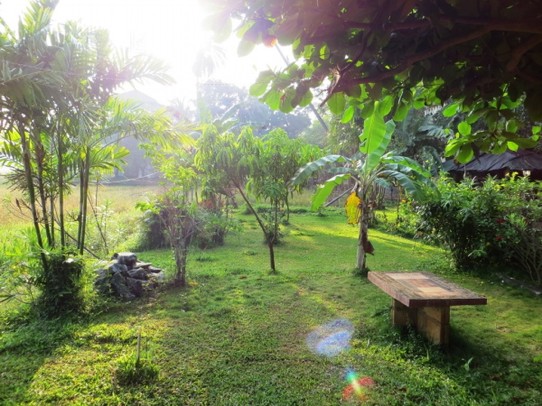 Sri Lanka - Polonnaruwa - Unser Hostelgarten 