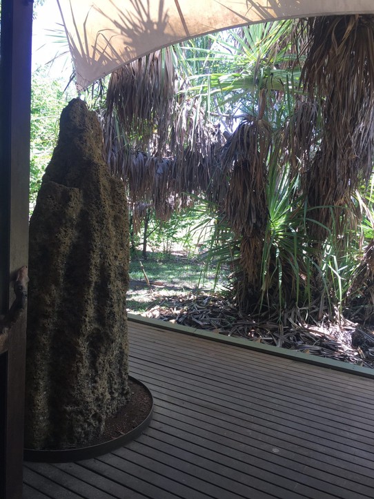 Australien - Kakadu - Ein Termitenhügel mitten im Visitor Center 