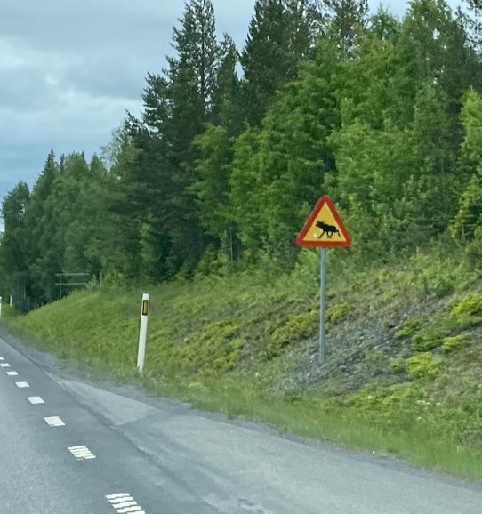 Schweden - Åre - Was man auf der Strasse so sieht…
