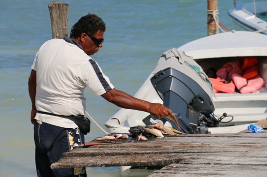 Belize - Caye Caulker - Ausweiden von Red Snappers am Pier
