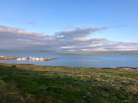 Island - Kaldrananeshreppur - Blick über den Steingrímsfjörður...