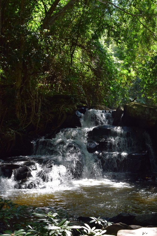 Thailand - Chiang Mai - Kleiner Spaziergang durch den Jungle zu dem Wasserfall
