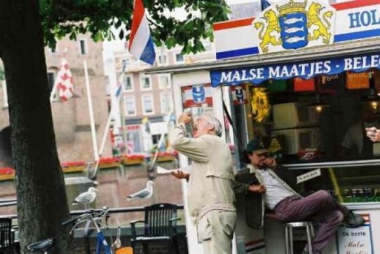 Niederlande - Den Haag - Streetview 