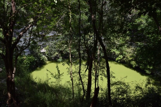 Mexiko - Mérida - Die heilige Cenote (Cenote Sagrado)