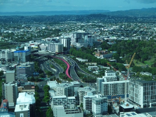 Neuseeland - Auckland - Sogar die Radwege sind rosa eingefärbt