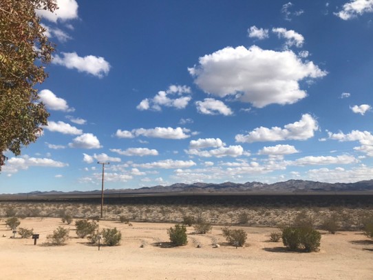 Vereinigte Staaten - Needles - Mojave Wüste 